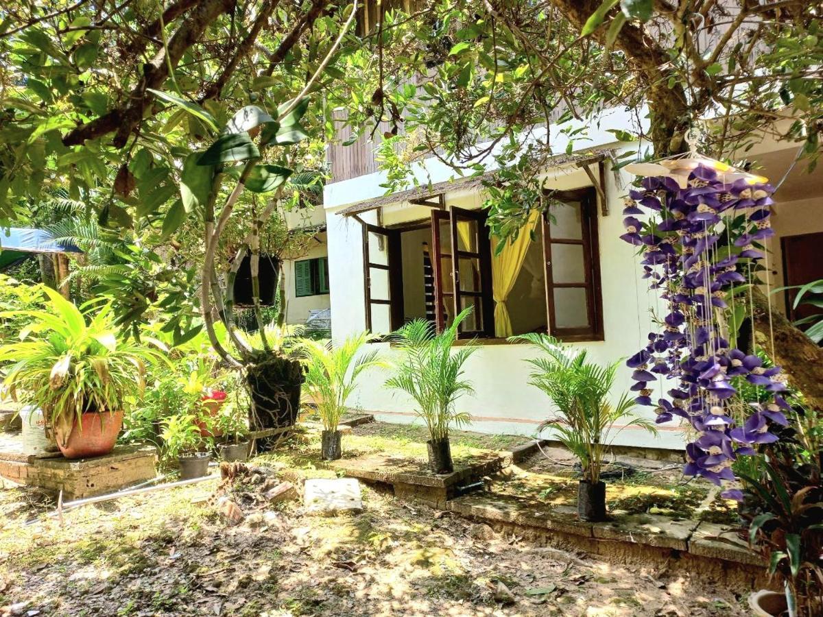Jungle House Kep Apartman Kültér fotó