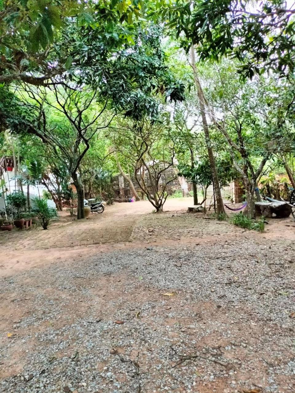 Jungle House Kep Apartman Kültér fotó
