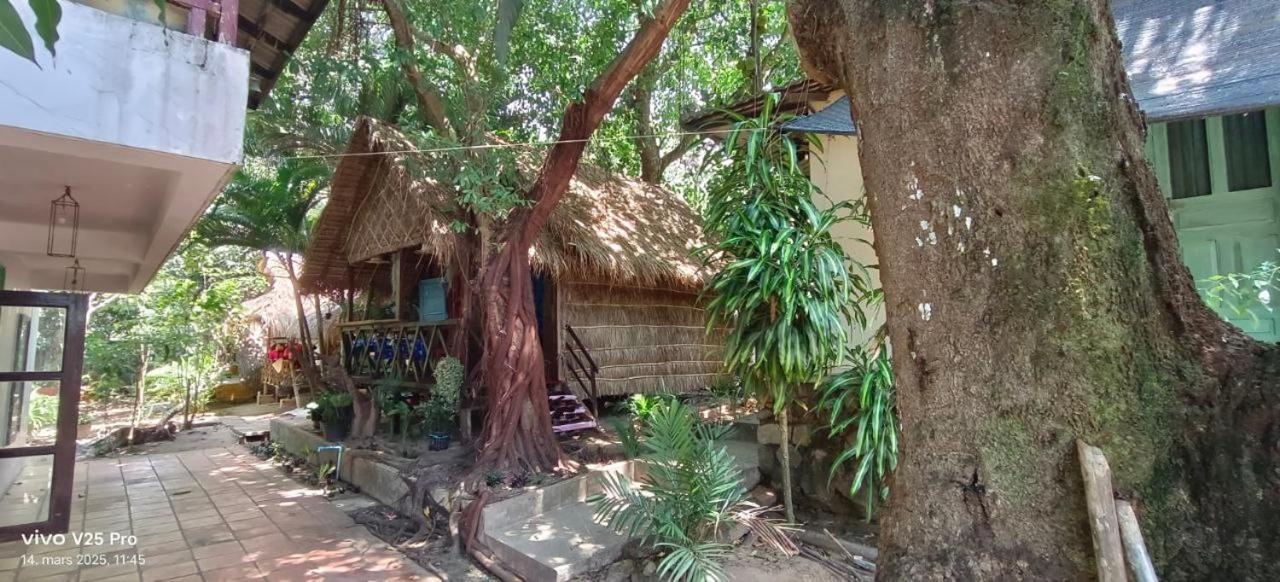 Jungle House Kep Apartman Kültér fotó